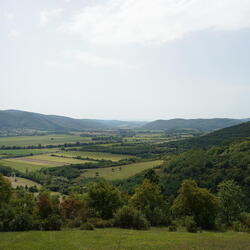 bodvaszilas