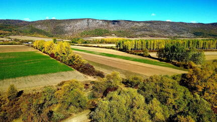 a15
